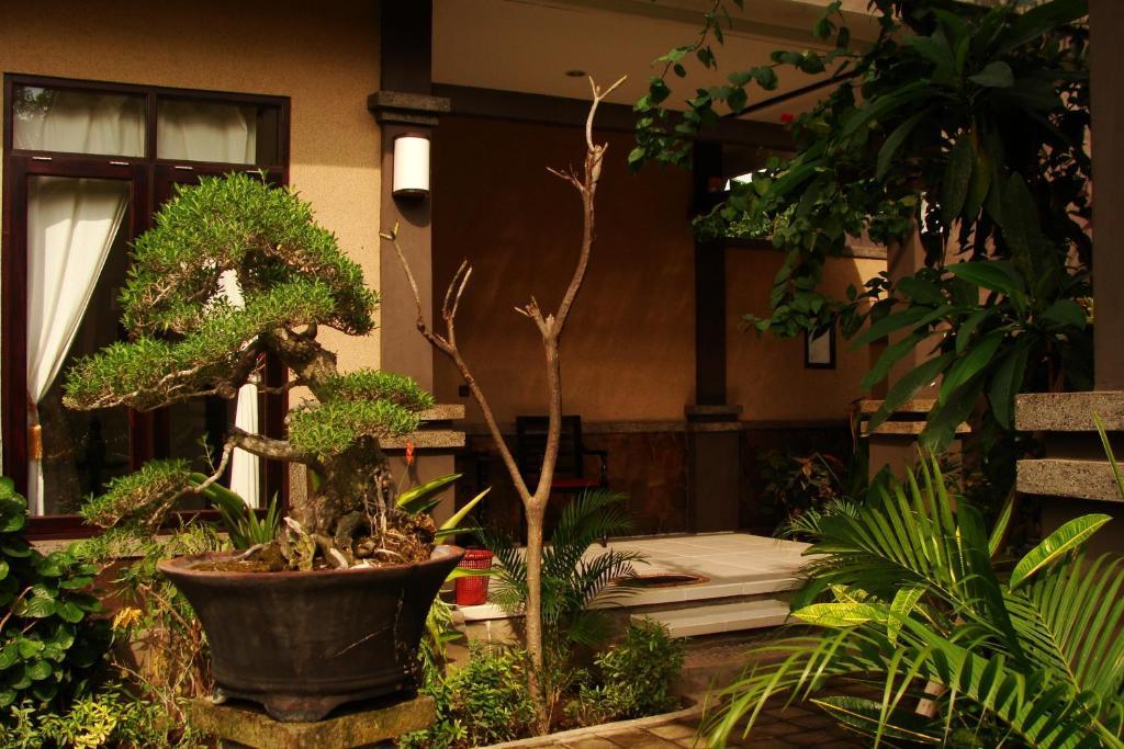 Doubleyou Homestay Pemuteran Экстерьер фото